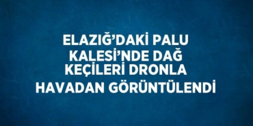 27207250802535730498tasarimli