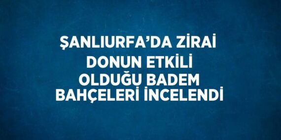 ŞANLIURFA’DA ZİRAİ DONUN ETKİLİ OLDUĞU BADEM BAHÇELERİ İNCELENDİ