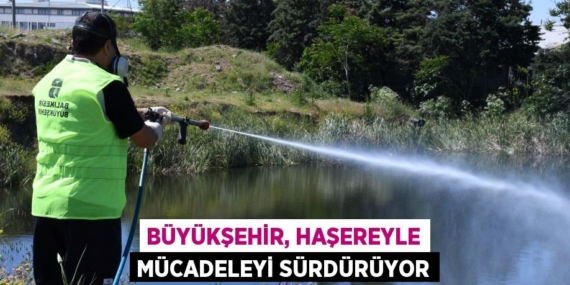 BÜYÜKŞEHİR, HAŞEREYLE MÜCADELEYİ SÜRDÜRÜYOR