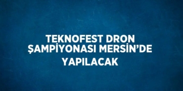 27229296972168526418tasarimli