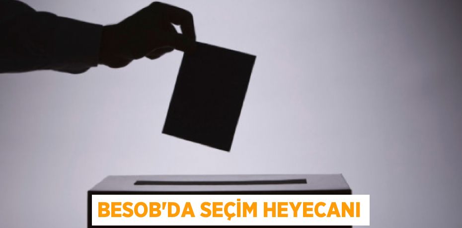 27234293252308323804