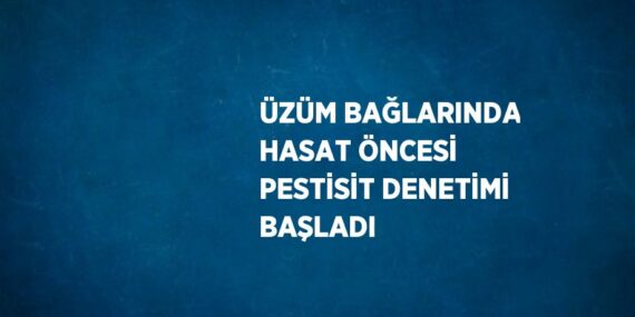 ÜZÜM BAĞLARINDA HASAT ÖNCESİ PESTİSİT DENETİMİ BAŞLADI