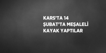 27240216782260528320