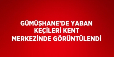 27240301762840922504tasarimli