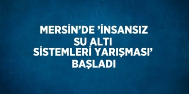 27241261072989224985tasarimli