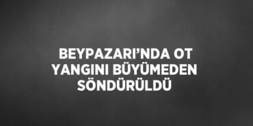27243256652311825474tasarimli