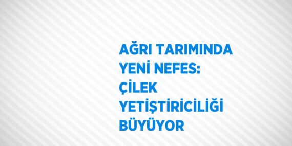AĞRI TARIMINDA YENİ NEFES: ÇİLEK YETİŞTİRİCİLİĞİ BÜYÜYOR