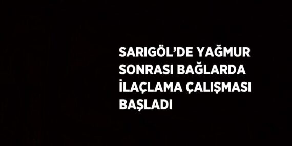 SARIGÖL’DE YAĞMUR SONRASI BAĞLARDA İLAÇLAMA ÇALIŞMASI BAŞLADI