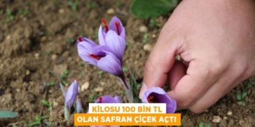 27259312712497625950tasarimli