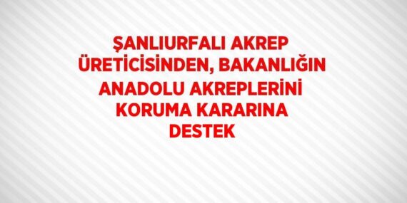 ŞANLIURFALI AKREP ÜRETİCİSİNDEN, BAKANLIĞIN ANADOLU AKREPLERİNİ KORUMA KARARINA DESTEK