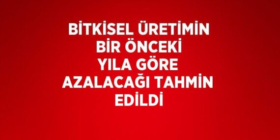 BİTKİSEL ÜRETİMİN BİR ÖNCEKİ YILA GÖRE AZALACAĞI TAHMİN EDİLDİ