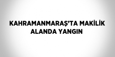 27271303812015622937tasarimli
