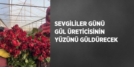 SEVGİLİLER GÜNÜ GÜL ÜRETİCİSİNİN YÜZÜNÜ GÜLDÜRECEK