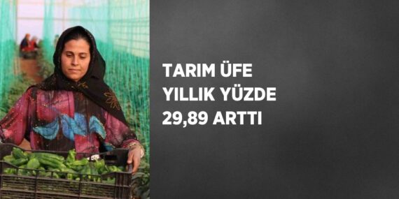TARIM ÜFE YILLIK YÜZDE 29,89 ARTTI