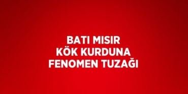 27288232572938922857tasarimli