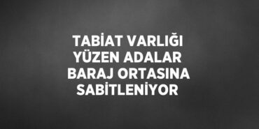 27292260752269528252tasarimli