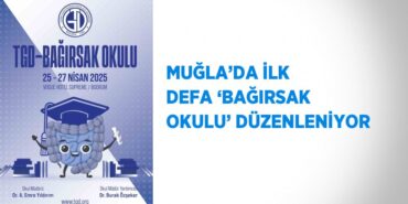 27295273003162625135