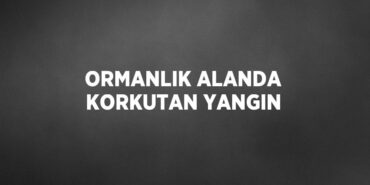 27297237202824023152tasarimli