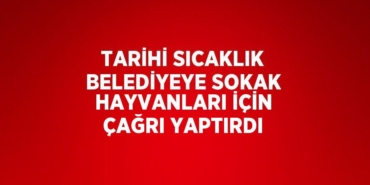 27297282403153530324tasarimli
