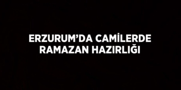 27298289192086920257tasarimli