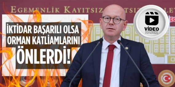 İKTİDAR BAŞARILI OLSA  ORMAN KATLİAMLARINI ÖNLERDİ!