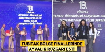 27310280562621028735tasarimli