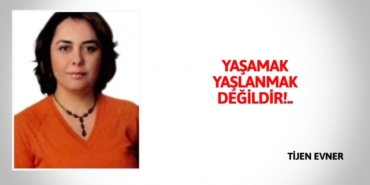 27317257472900330259