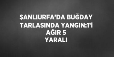 27322207372775931289tasarimli