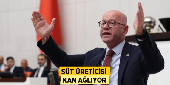 SÜT ÜRETİCİSİ KAN AĞLIYOR