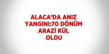 27332314782643422397tasarimli