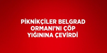 27335219712417922289tasarimli
