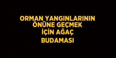27338299652513120387tasarimli