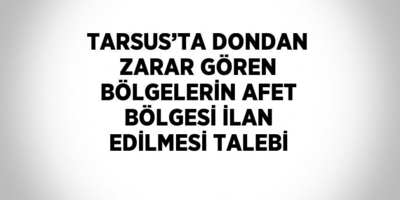 TARSUS’TA DONDAN ZARAR GÖREN BÖLGELERİN AFET BÖLGESİ İLAN EDİLMESİ TALEBİ