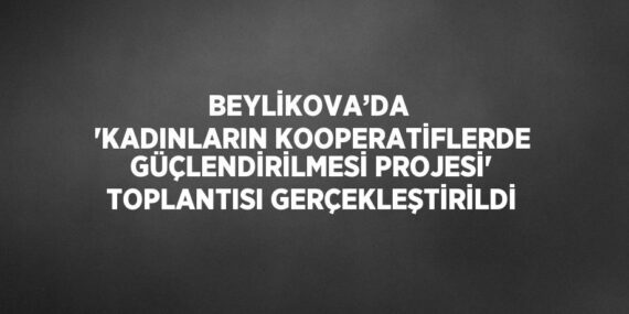BEYLİKOVA’DA  ‘KADINLARIN KOOPERATİFLERDE GÜÇLENDİRİLMESİ PROJESİ’ TOPLANTISI GERÇEKLEŞTİRİLDİ