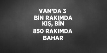 27344319122167824091tasarimli