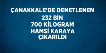 27345282362830820890tasarimli