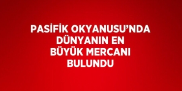 27348295453062330396tasarimli