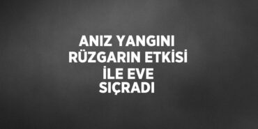 27349219042199527429tasarimli