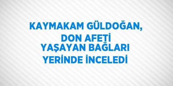 KAYMAKAM GÜLDOĞAN, DON AFETİ YAŞAYAN BAĞLARI YERİNDE İNCELEDİ