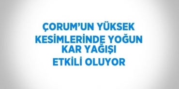 27349319382910429616tasarimli