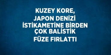 27353287192735024328tasarimli
