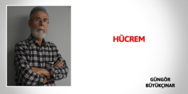 27354316822849320450