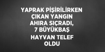 27356277962369128394tasarimli