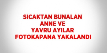 27359246892649921357tasarimli