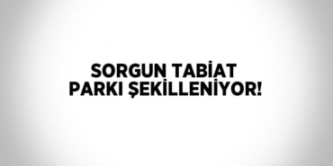 27361246423073127441tasarimli