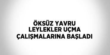 27367295763057922270tasarimli