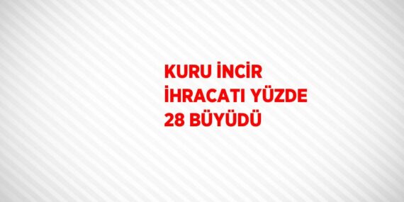 KURU İNCİR İHRACATI YÜZDE 28 BÜYÜDÜ