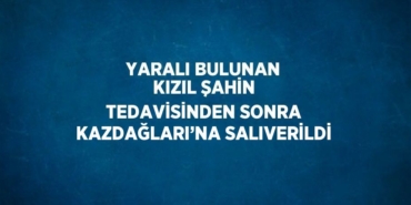 27388226412489720018tasarimli