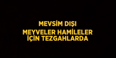 27391215392656531013tasarimli