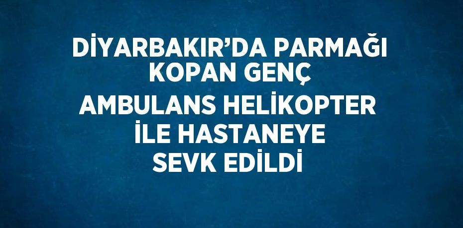 27394202542922924798tasarimli